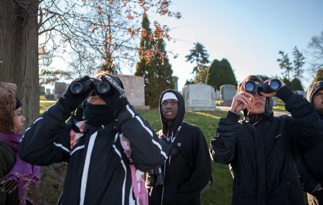 Birdist Rule #25: Go Join Your Local Audubon Christmas Bird Count 