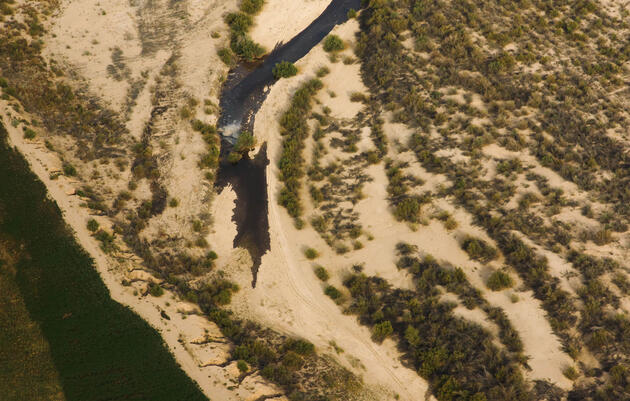 Pulsos de agua le devuelven la vida al hambriento río Colorado