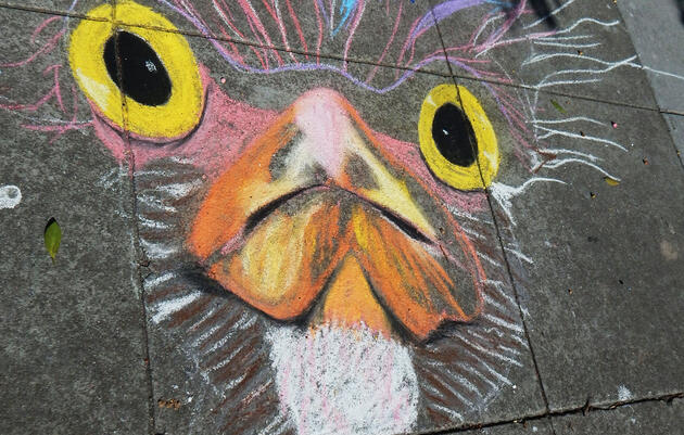 Artist Dustin Feider drew this baby Black-crowned Night Heron during Golden Gate Audubon Society's 2016 chalk art flash mob. Cindy Margulis