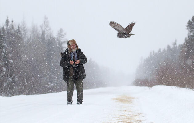 Great Gray Owl. Sparky Stensaas