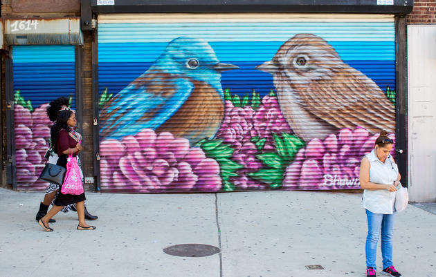 Western Bluebird and Rufous-crowned Sparrow by Shawn Bullen