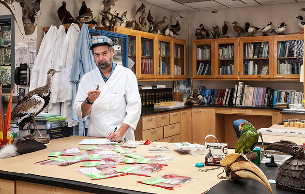 Behind the Scenes With the World’s Top Feather Detective