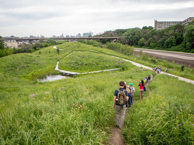Birders hike through a park in Milwaukee, Wisconsin. Camilla Cerea/Audubon