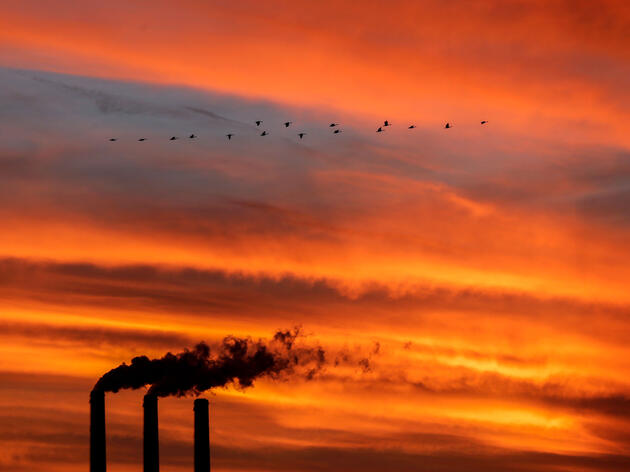 Canada Geese fly past a coal power plant in Kansas. Charlie Riedel/AP