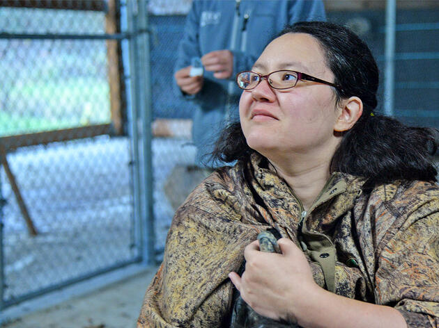 An Indigenous Effort to Return Condors to the Pacific Northwest Nears Its Goal 