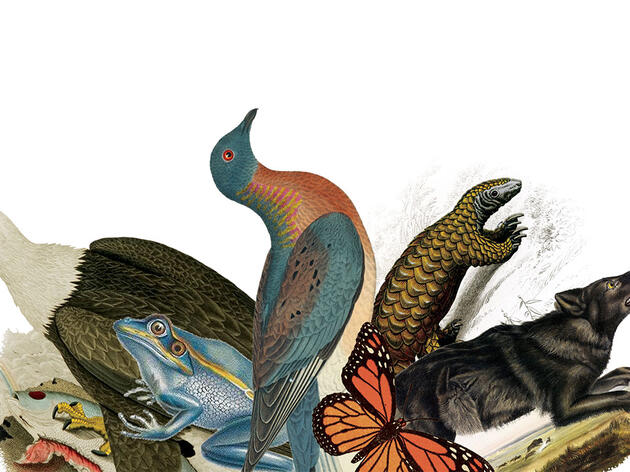 Capturing the Whole History of Conservationism—for Better and Worse