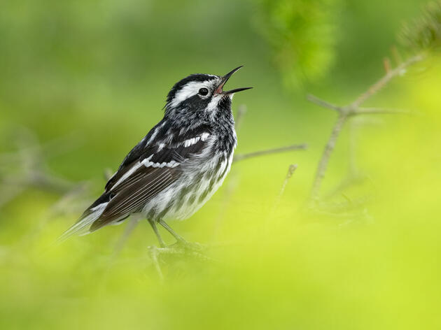 Philadelphia Sees Largest Mass Collision Event in the City in 70 Years
