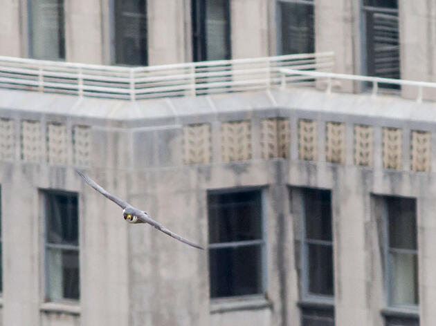 It’s Time for Lights Out in Philadelphia