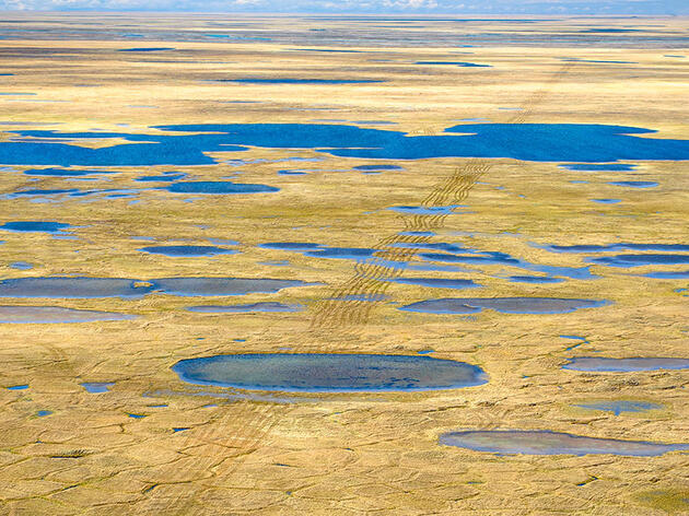 The Public Gets Just Two Weeks to Weigh In on Seismic Testing in the Arctic Refuge
