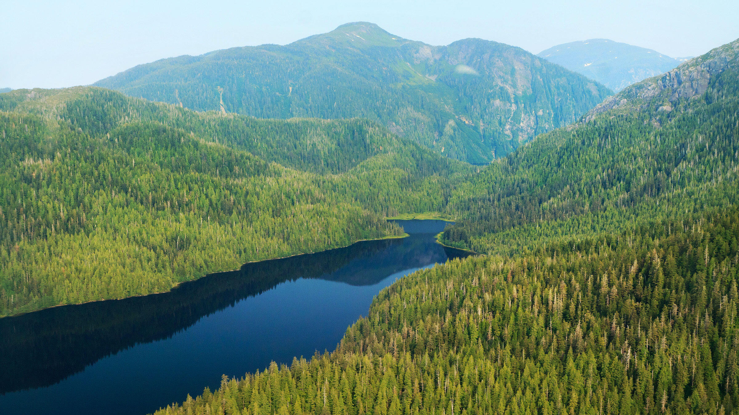 Bosque Nacional Tongass Audubon Bosque Nacional Tongass Audubon
