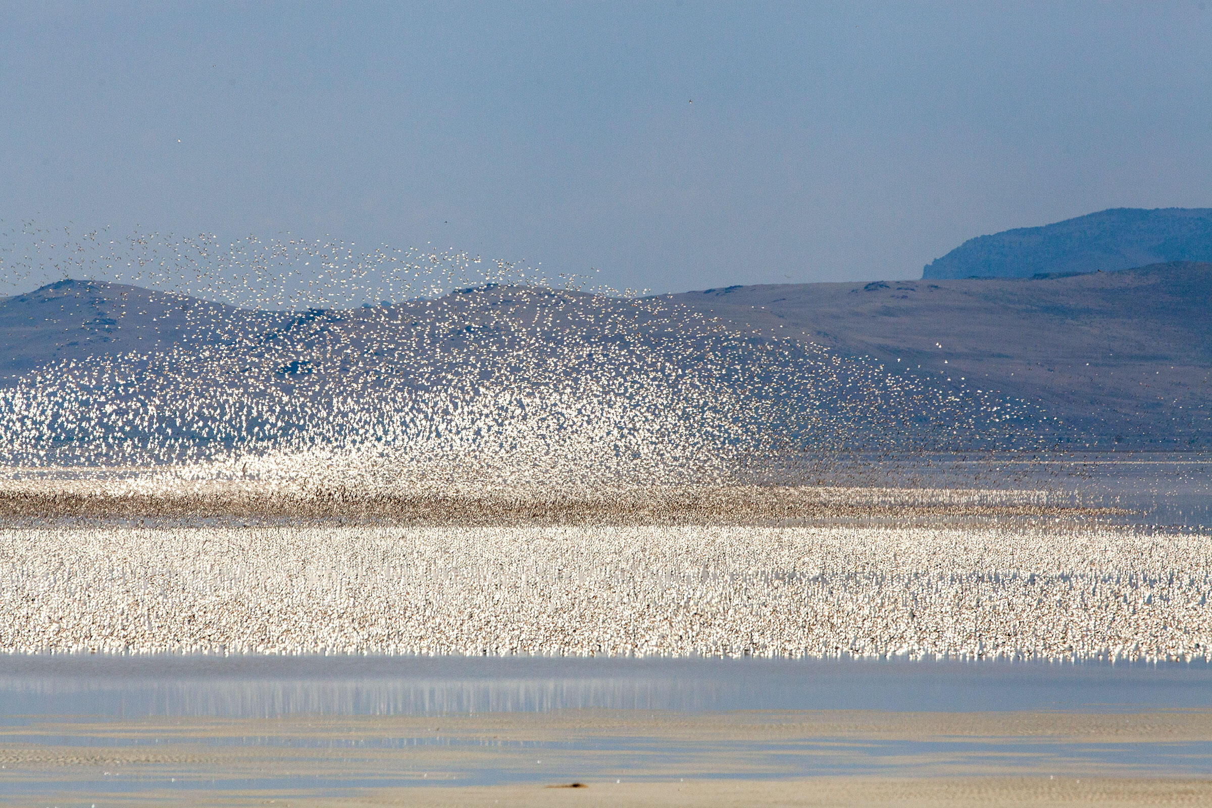 Great Salt Lake