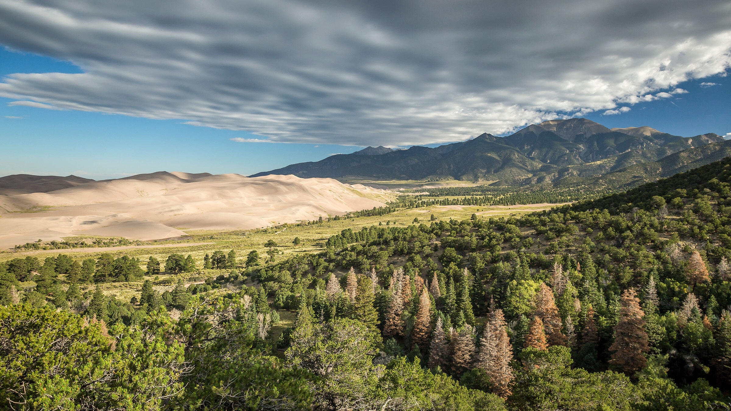 Great Sand Dunes National Park and Preserve Audubon