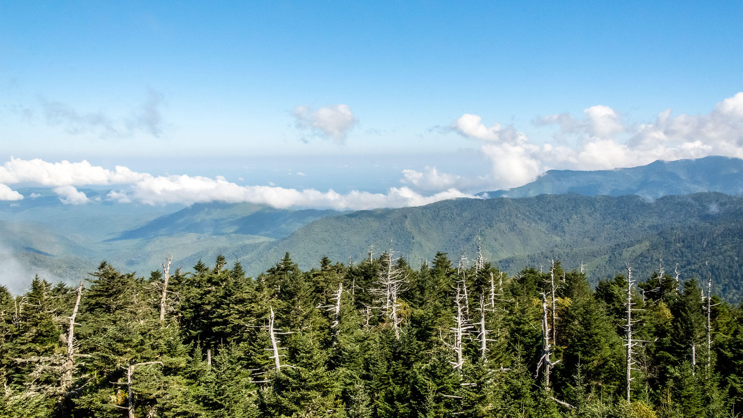 Image Result For Great Smoky Mountains National Park U S National Park Service Image Result For Great Smoky Mountains National Park U S National Park Service