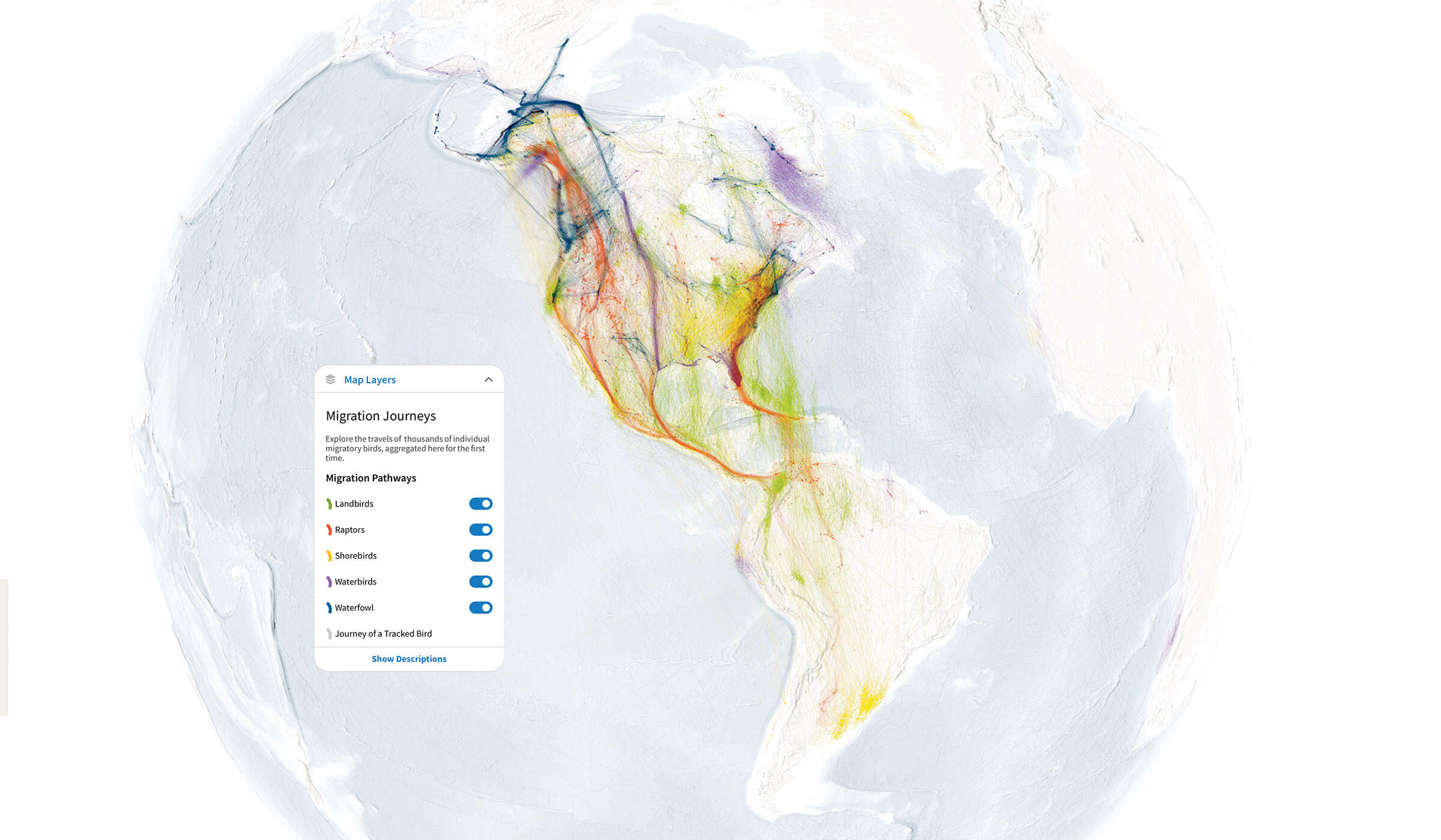 The Bird Migration Explorer Lets - Pg1 Intro Map Flat New