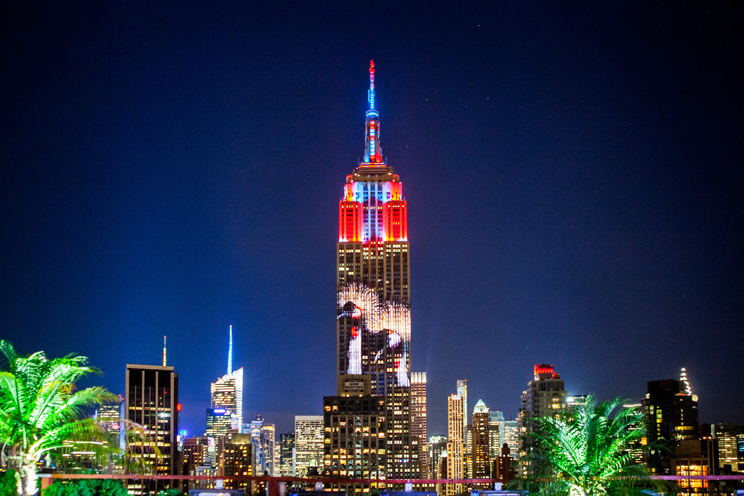Endangered Species Take Over Empire State Building | Audubon