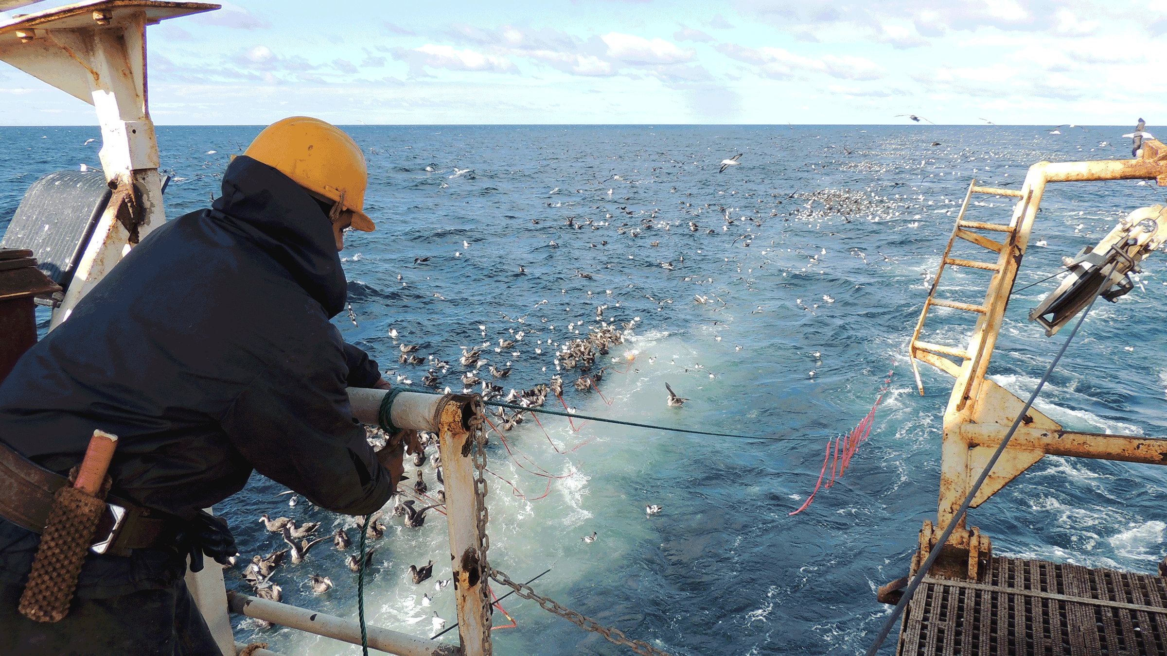 How To Keep Birds Off Your Boat Pin On Dock Ideas Birds are nesting