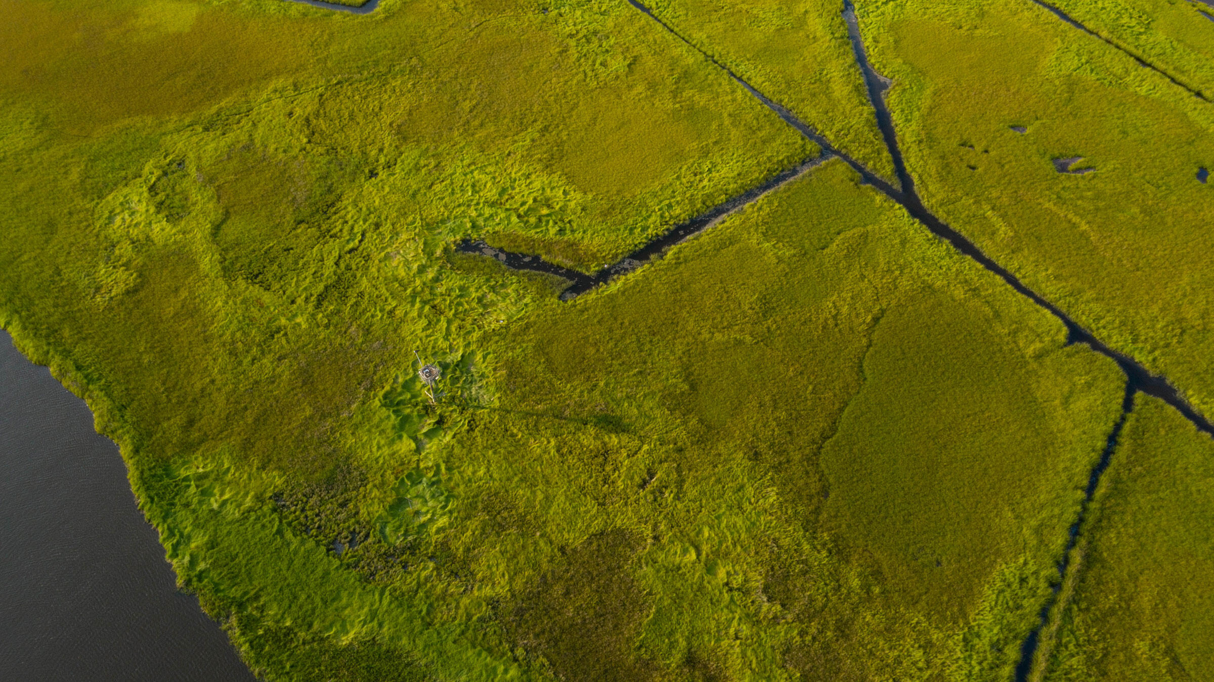 best drone for wildlife photography