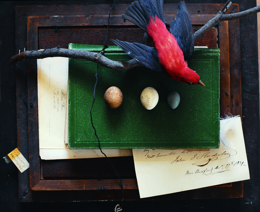 Audubon's Legacy Where It All Began Audubon