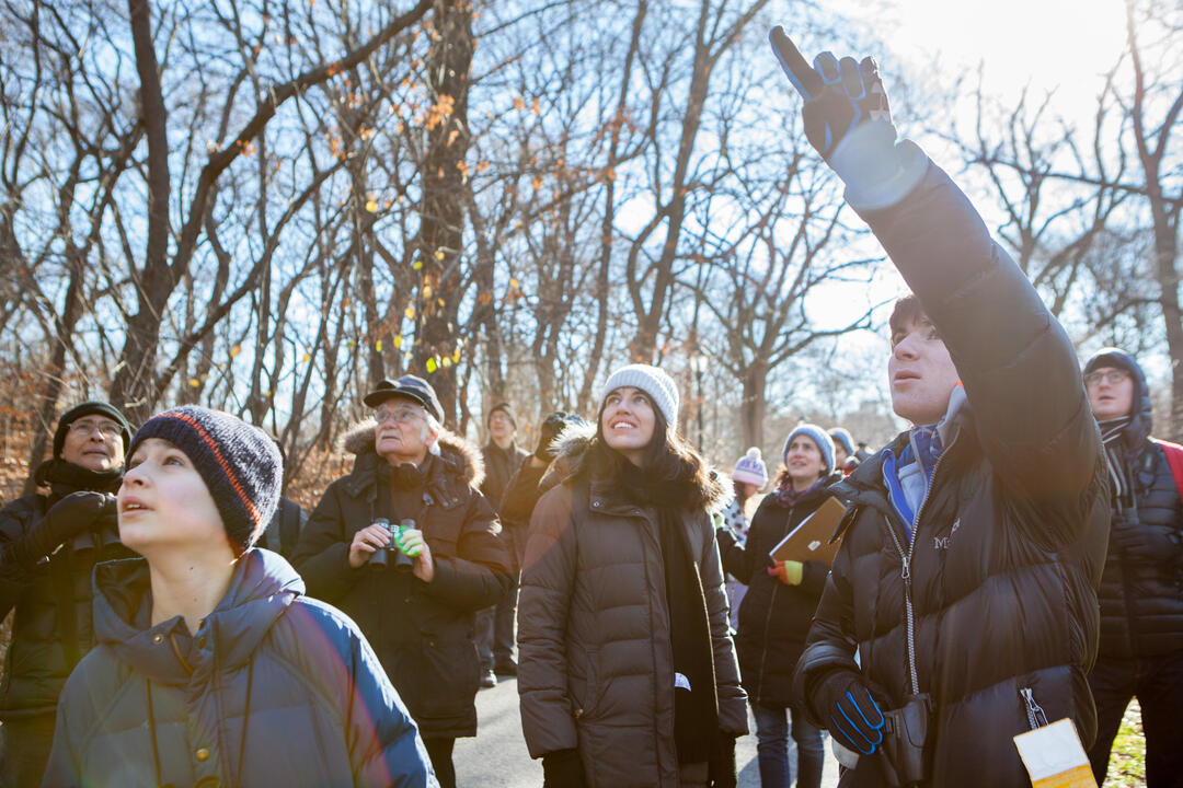 Christmas Bird Count 2017 2022 Fort Collins Co Christmas Bird Count | Audubon