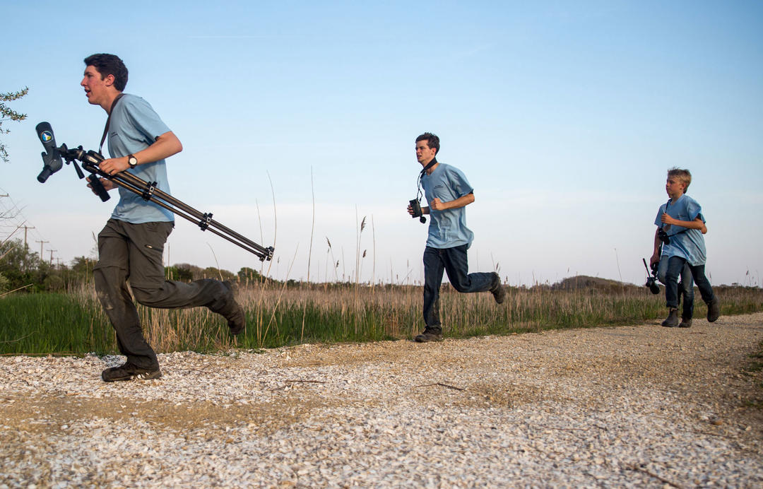 Inside Birding's Most Dramatic 24 Hours Audubon