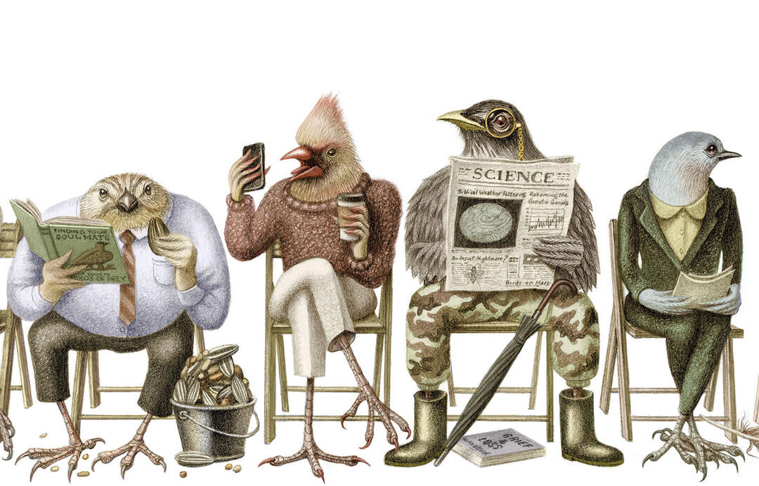 Bird Jobs of the Future and Other AvianInspired Stories From the Year