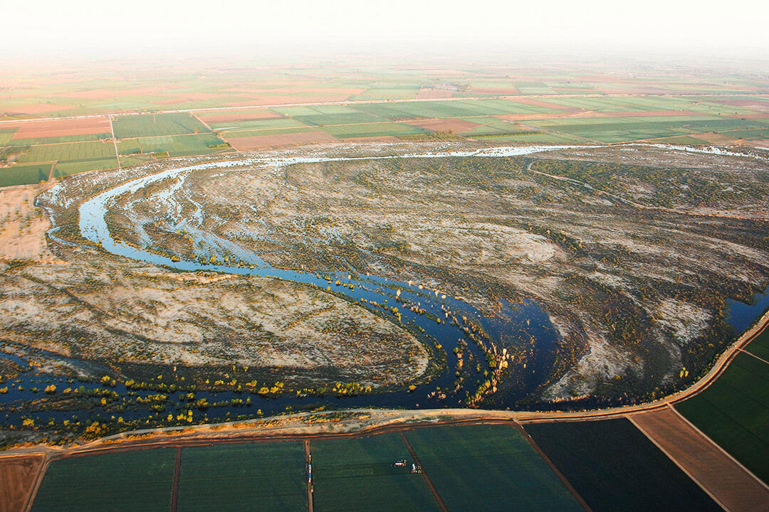 Colorado River Delta Map