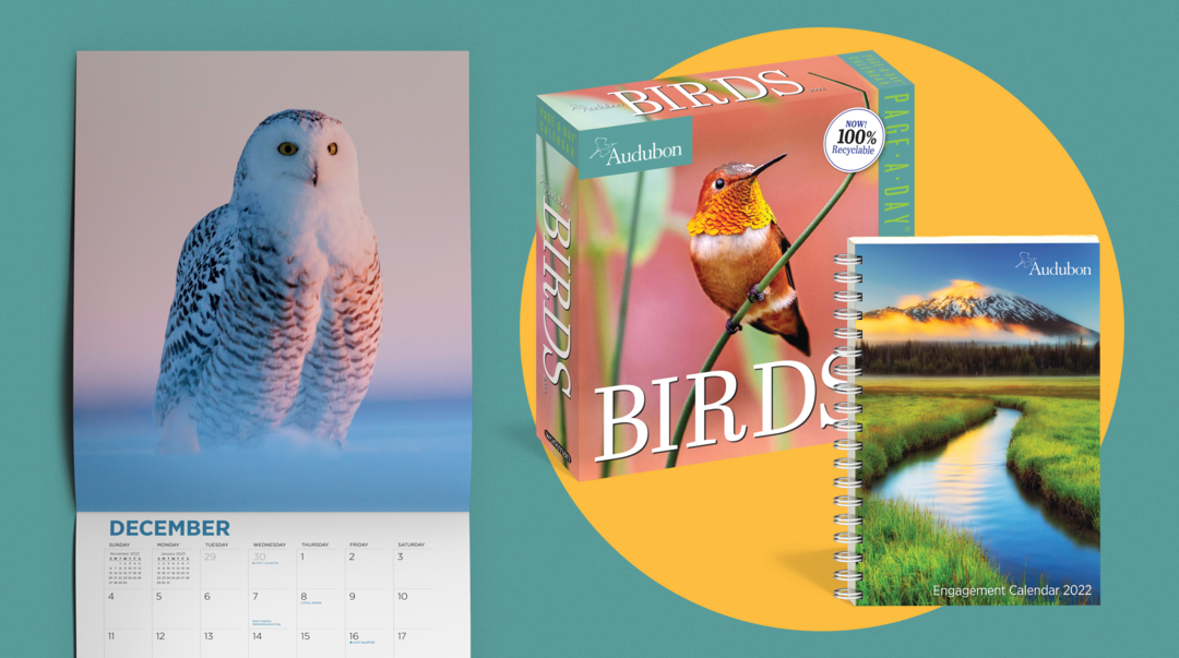 Audubon Bird Calendar 2022 Audubon Calendars | Audubon