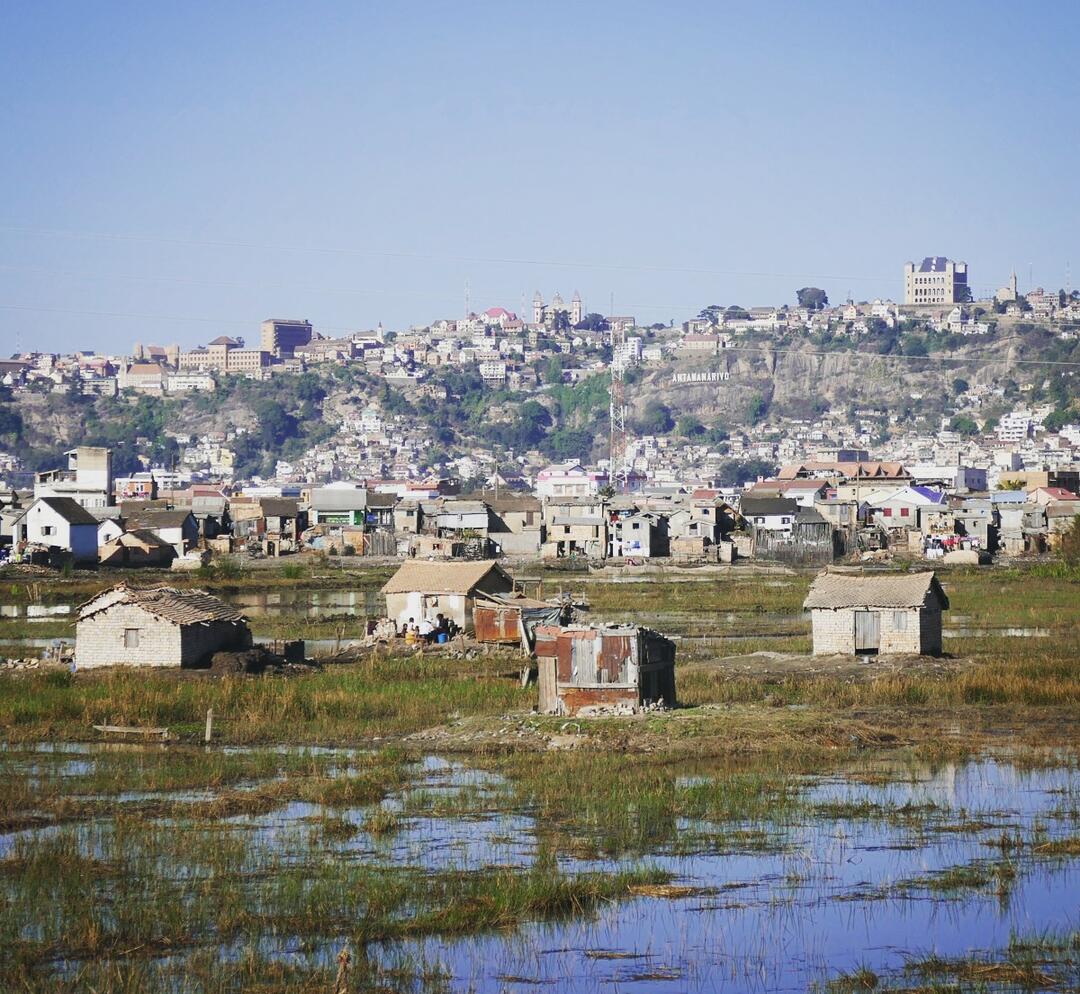 Day 211: An Hour in Tana Audubon