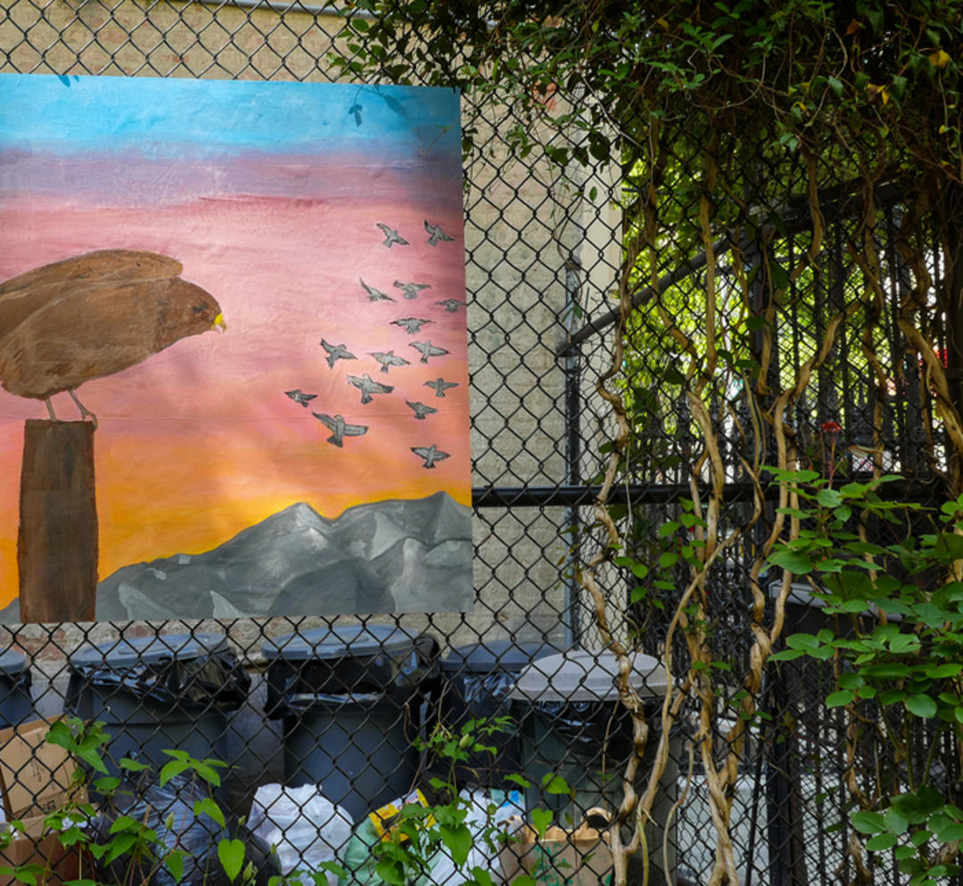 Swainson's Hawk by Sarah Kenny Werner and Harlem Educational Activities