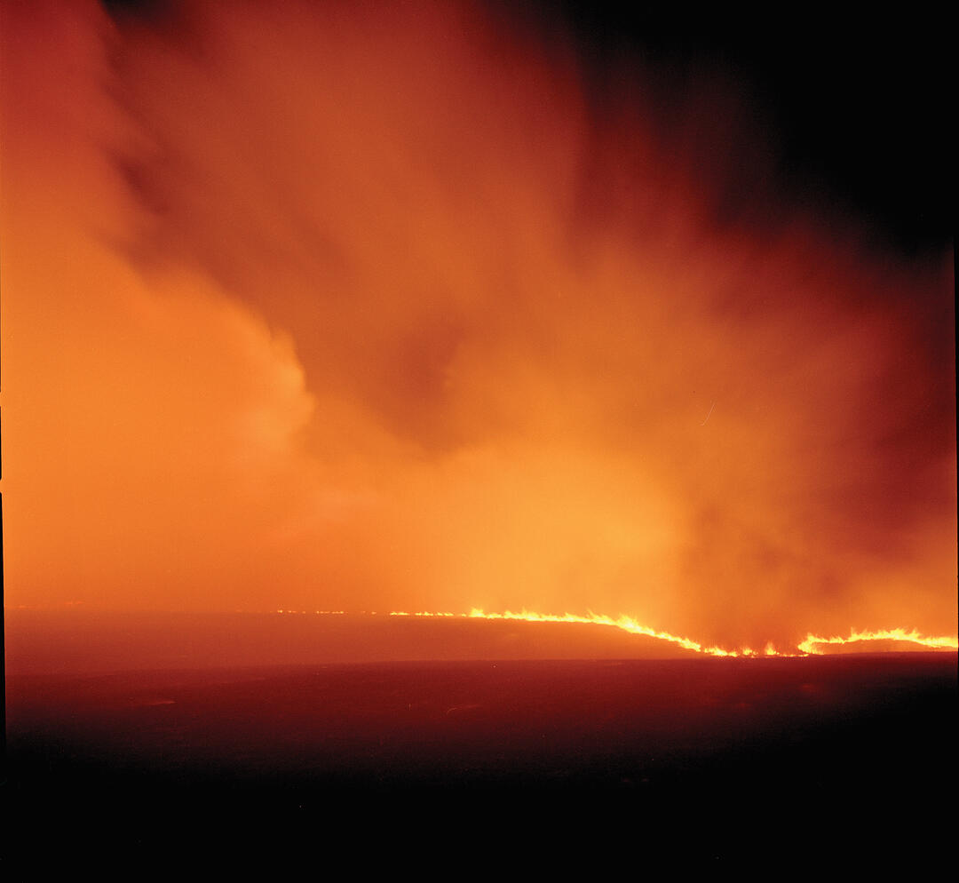 The Perfect Firestorm Audubon