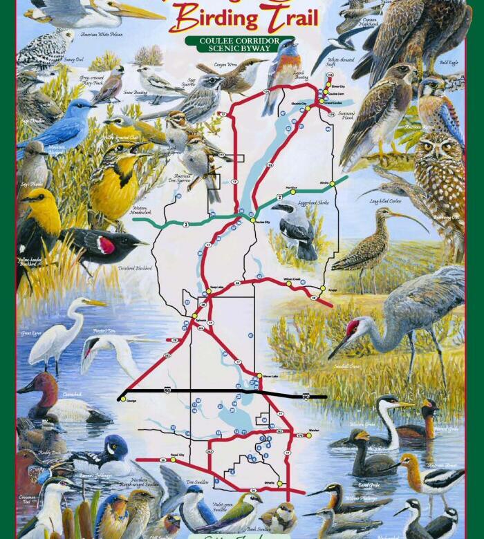Great Washington Birding Trail Audubon