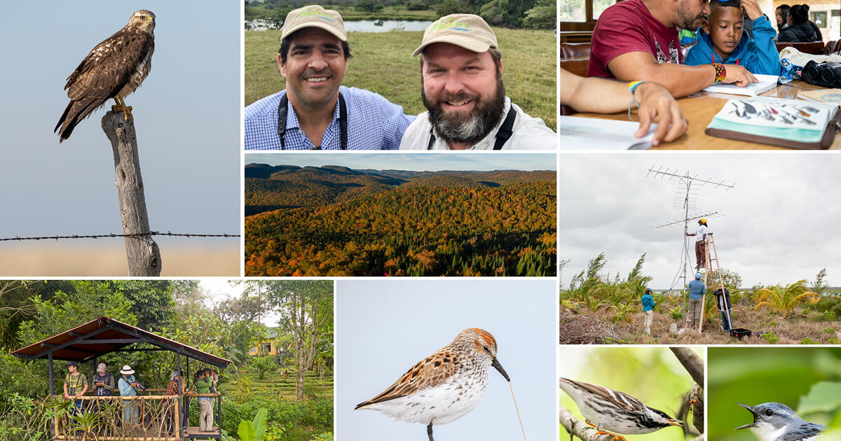Audubon's Aurelio Ramos Sees the World Through Birds - Vimarsana News