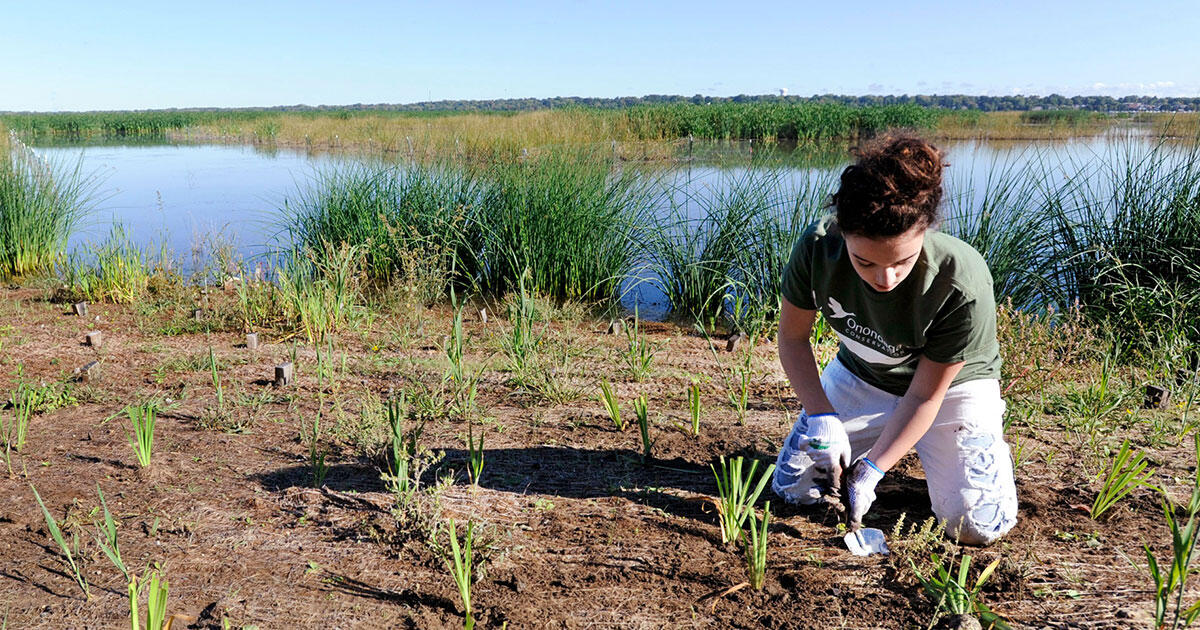 El lago Onondaga de Nueva York, otrora un estofado tóxico, muestra