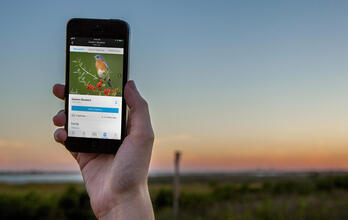Download the Audubon Bird Guide App