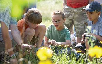 Find Audubon Near You