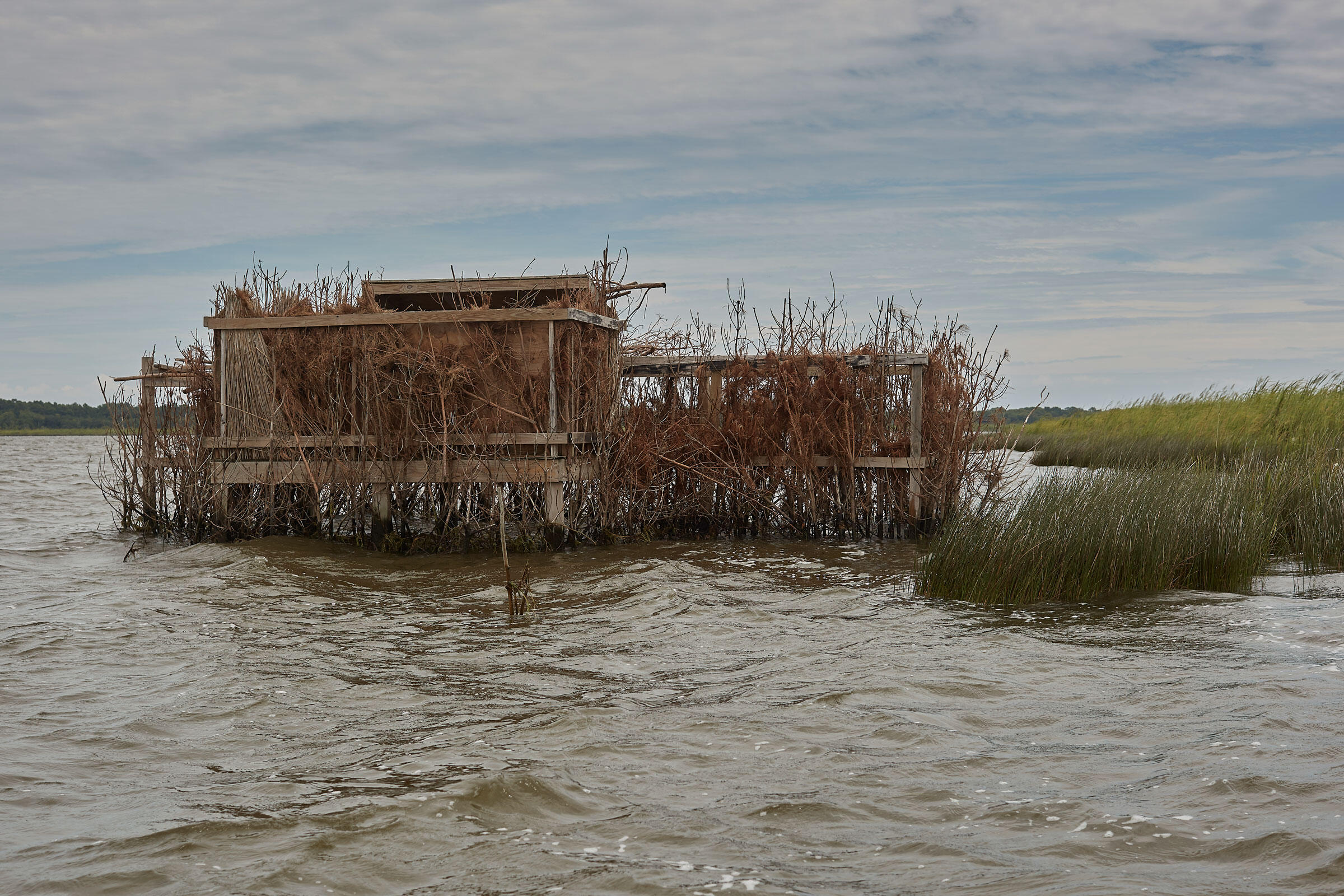 The Fight to Save Pine Island Audubon