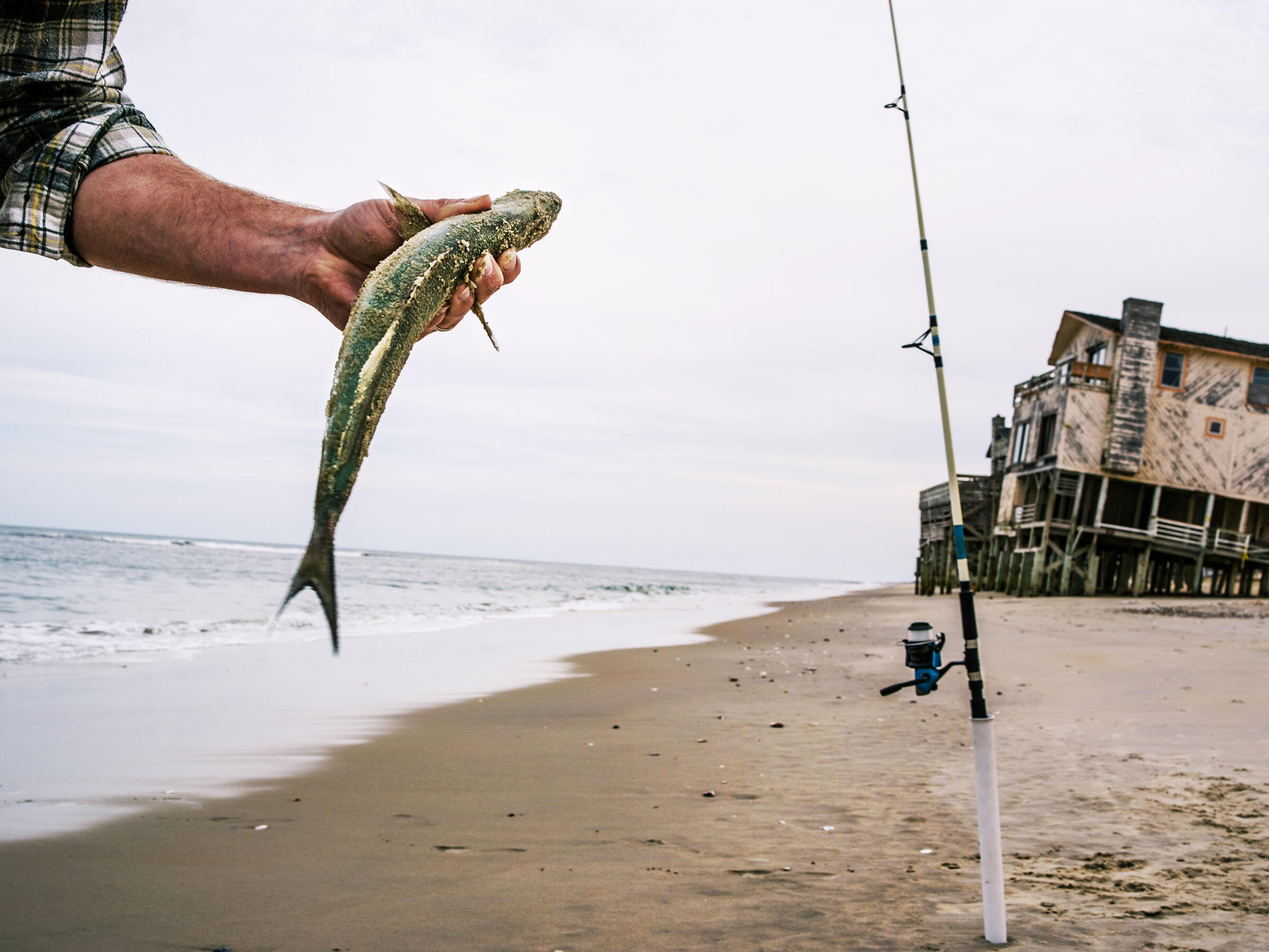 Best Place To Hook Up In Nags Head North Carolina Best Place To Hook Up In Nags Head North Carolina