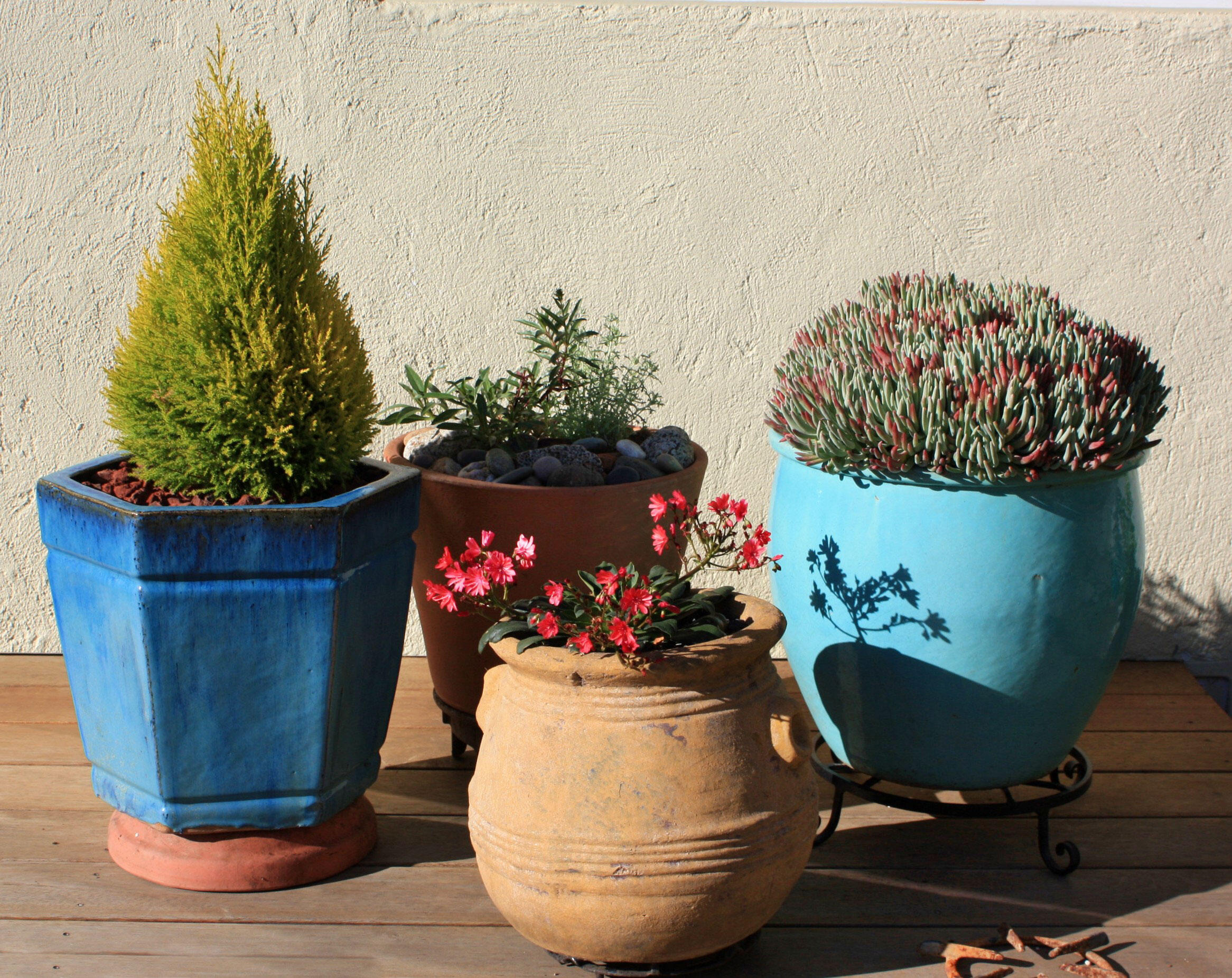 How to Make Your Yard Bird-Friendly, 5 easy step! 5 web 7162306141 6017682c08 o WANEE Go-WILD