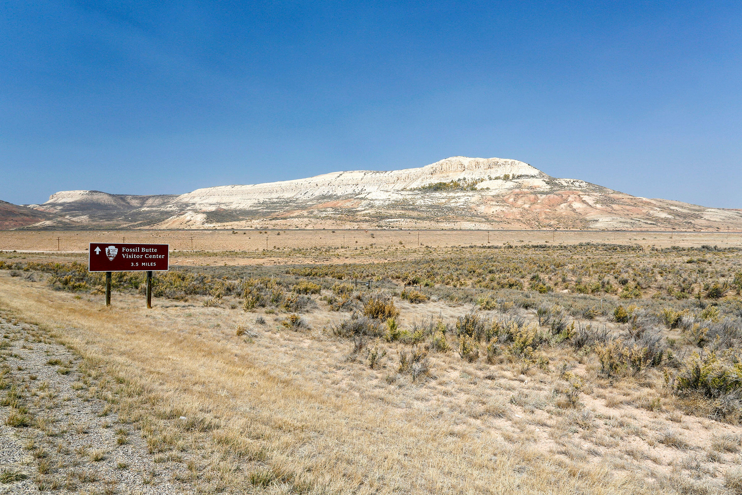 Paleontology and Private Fossil Collecting Can Be at Odds in the Hills
