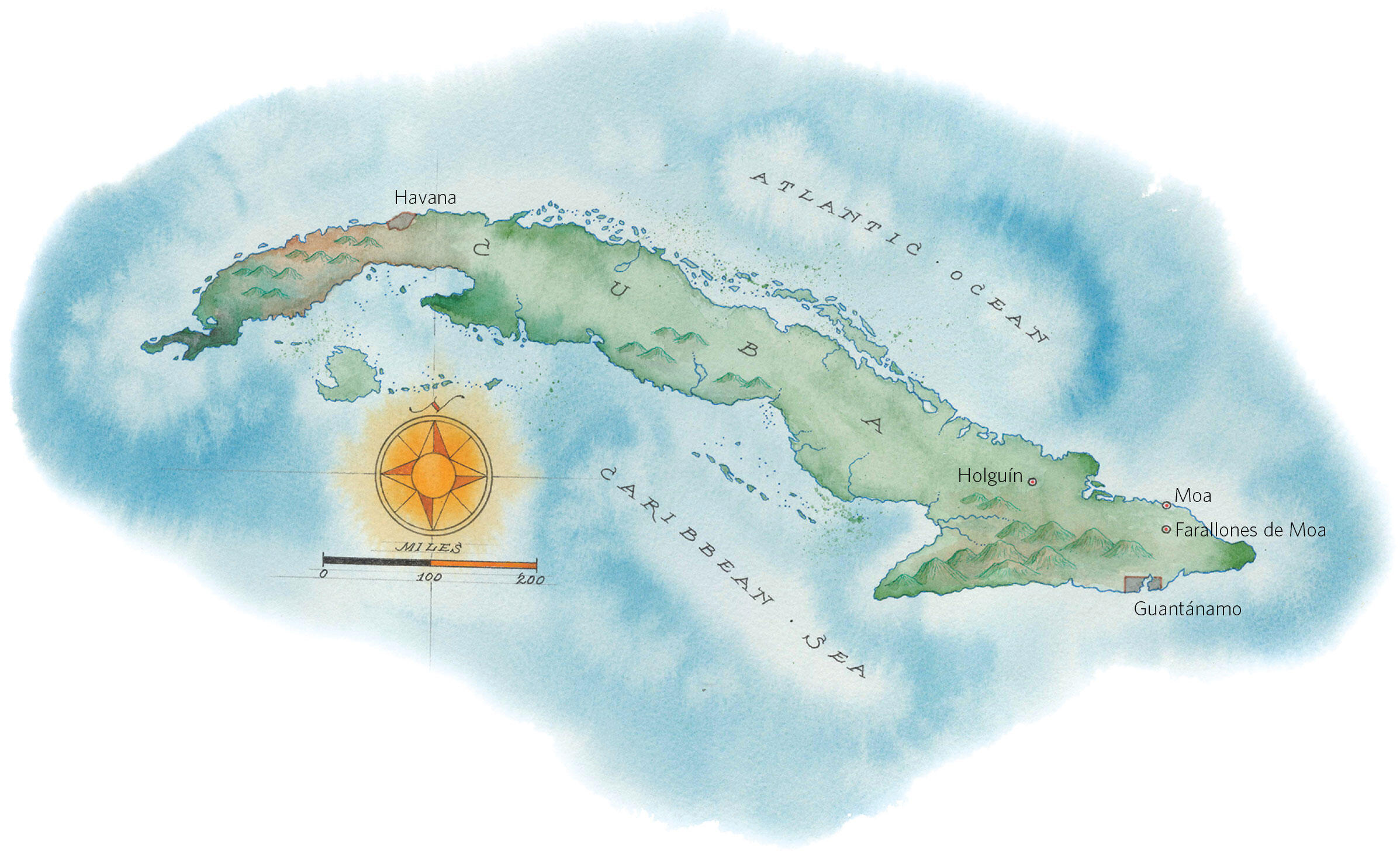 Can the Ivory-Billed Woodpecker Be Found in Cuba? | Audubon