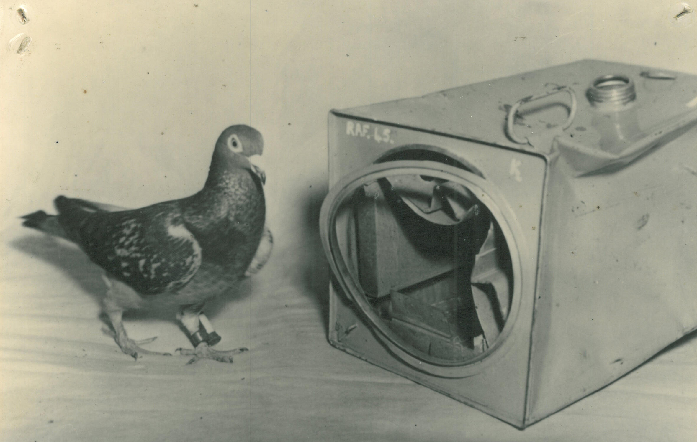 The pigeon carriers contained corkscrew fans, which unwound in the air to release the pigeons. Every aircraft carried at least one pigeon per flight. AR/BNPS