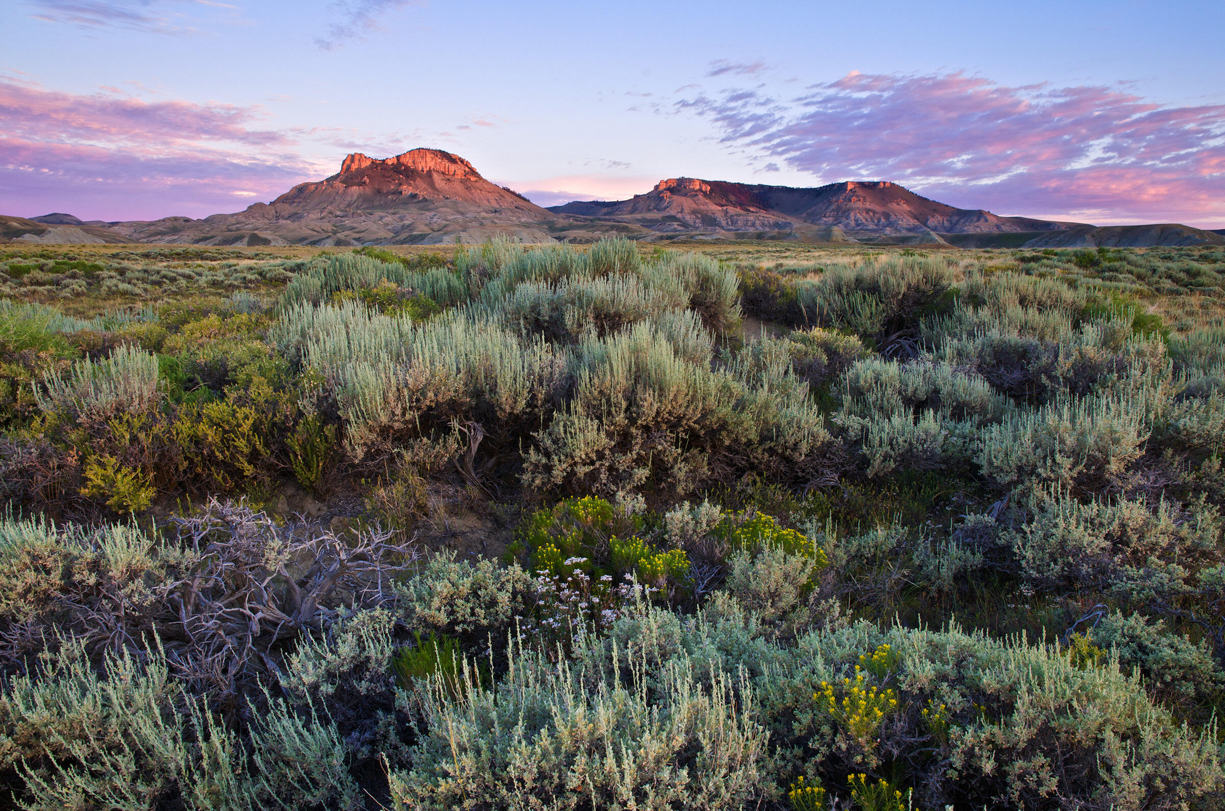 Sunrise lights the buttes of the Red Desert. This area is typical of the sagebrush ecosystem and important for many endemic species. Oregon Buttes Wilderness Study Area, Wyoming. Dave Showalter