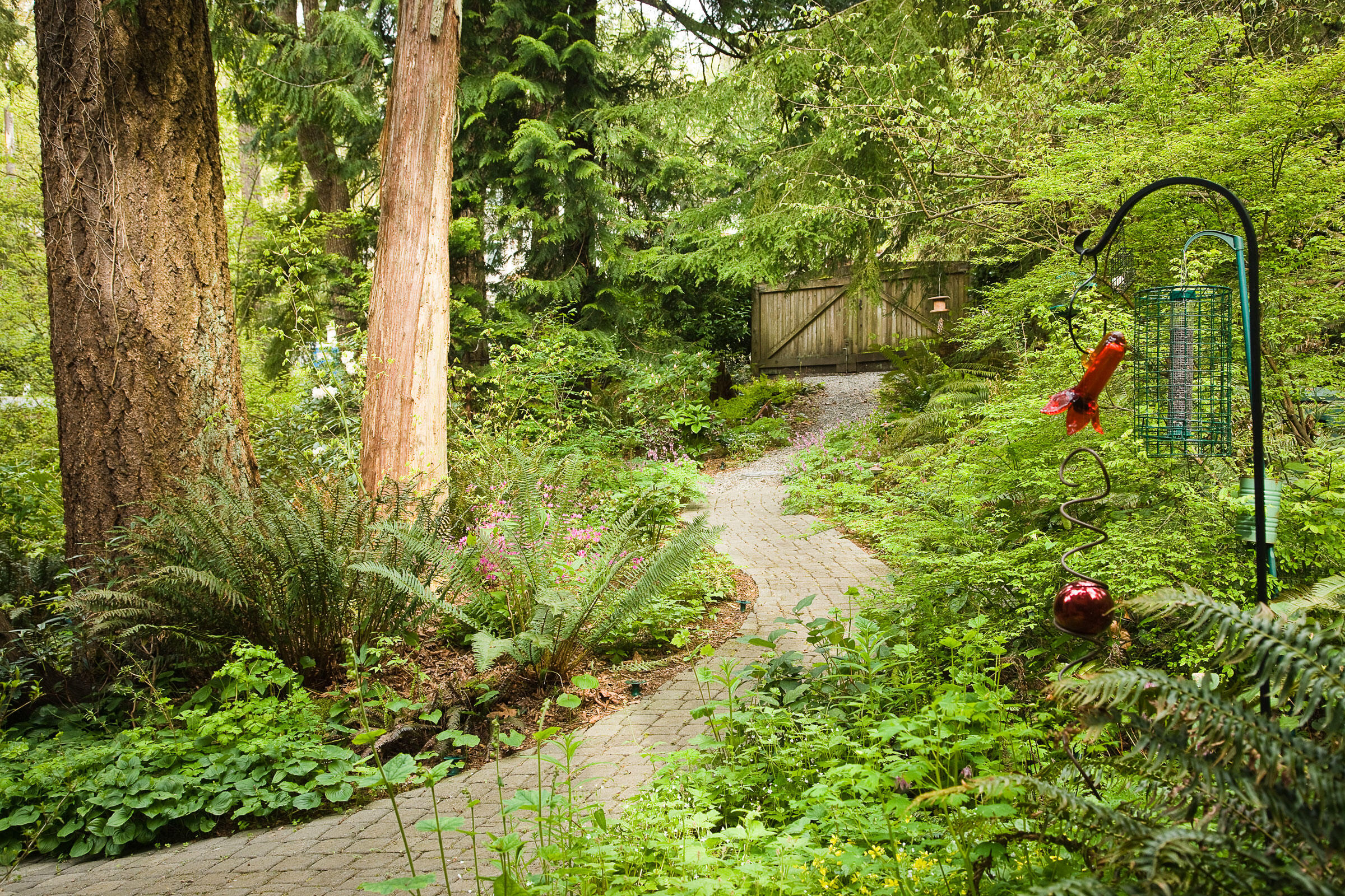 How to Make Your Yard Bird-Friendly, 5 easy step! 10 Bird feeders are surrounded by a variety of native plants, including sword ferns, wild ginger, red huckleberries, and Douglas-fir and western red cedar trees on Washington's Mercer Island. Mark Turner
