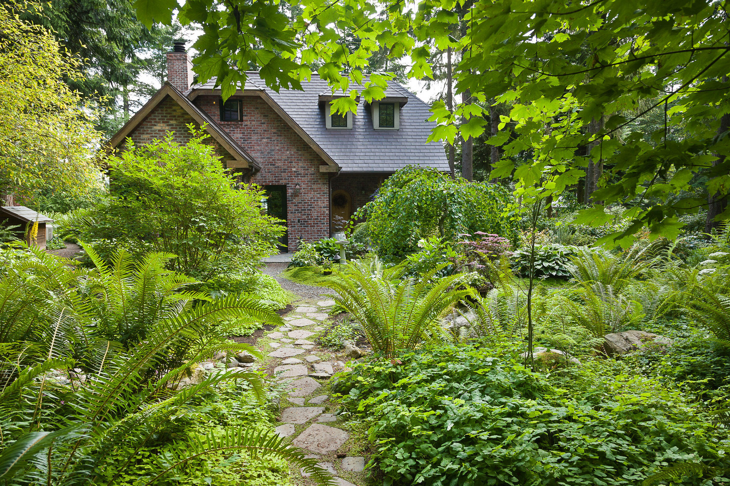 How to Make Your Yard Bird-Friendly, 5 easy step! 14 Sword ferns, Vancouveria, and redwood sorrel flank a flagstone path at a home in Bow, Washington. Mark Turner
