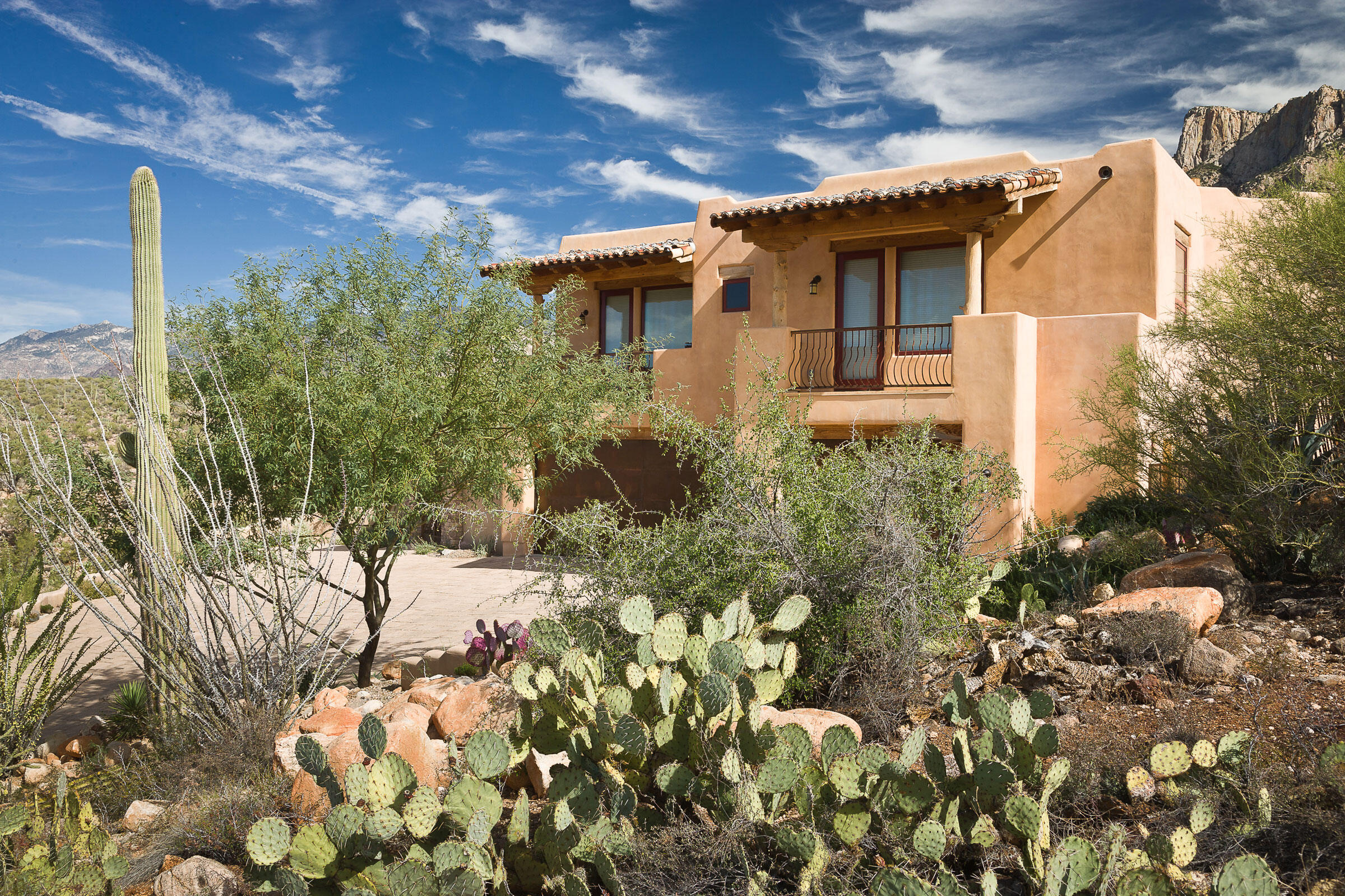 How to Make Your Yard Bird-Friendly, 5 easy step! 16 Engelmann's prickly pear, saguaro, ocotillo, and desert willow fill a desert garden in Tucson, Arizona. Mark Turner