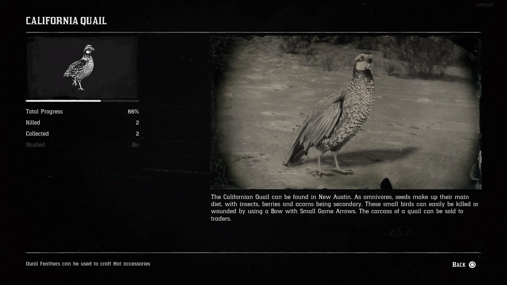 RDR2's entry for California Quail, which is showing the Northern Bobwhite. Image: Courtesy of Rockstar Games
