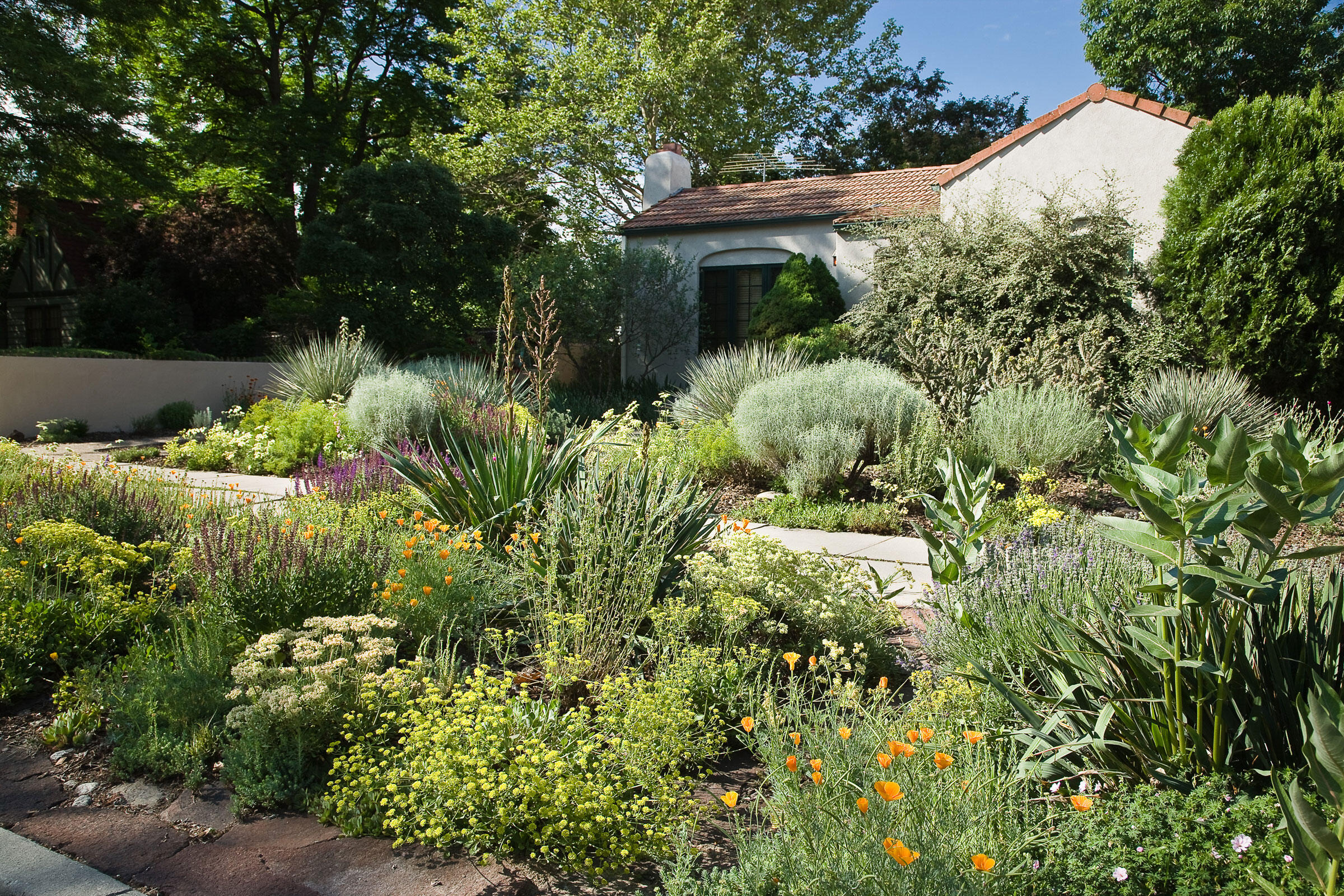 How to Make Your Yard Bird-Friendly, 5 easy step! 7 A front-yard garden in Boise, Idaho, planted by Patricia Zimmerman, hosts wyeth, sulphur buckwheat, penstemon, yuccas, green and gray rabbitbrush, and California poppies. Mark Turner