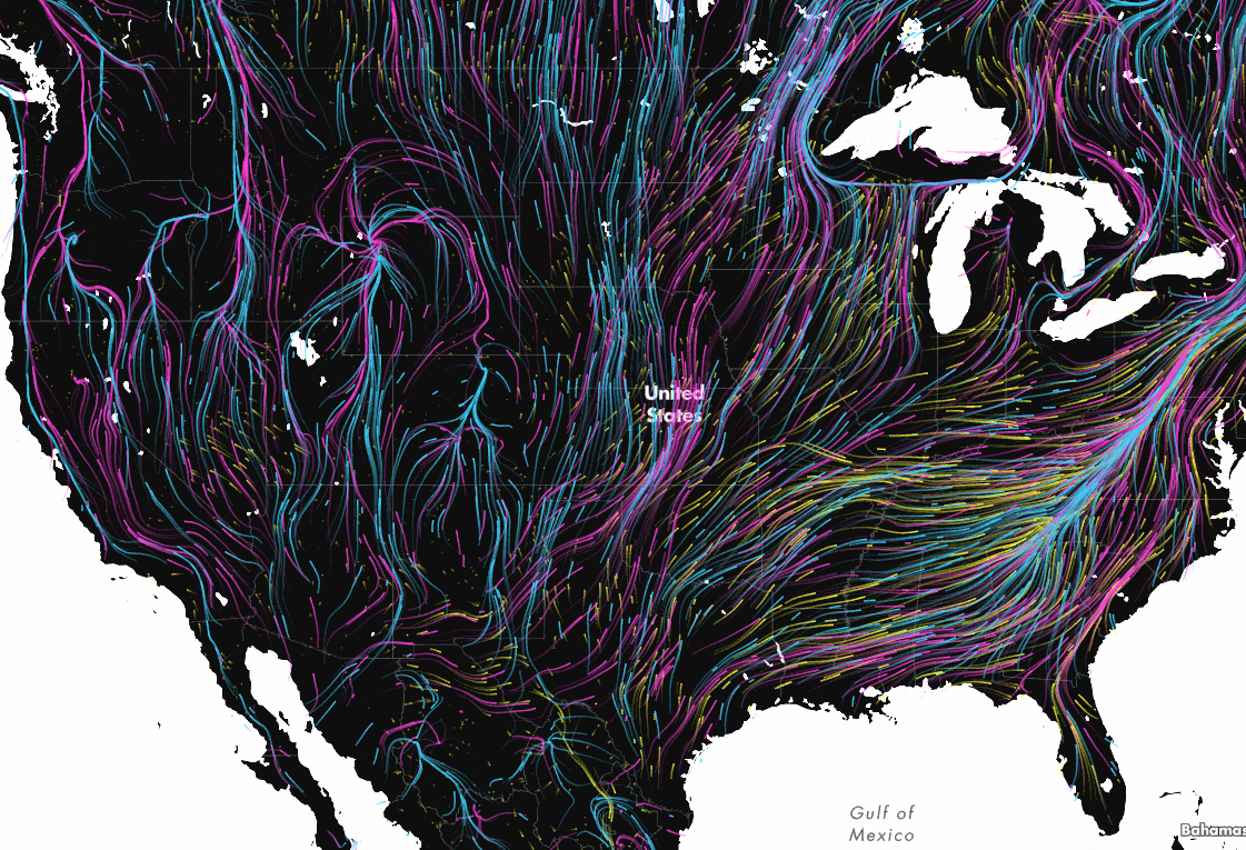 The blue, pink and yellow lines represent the projected paths of birds, mammals, and amphibians, respectively, as they make their way north to cooler climates. Map: Dan Majka