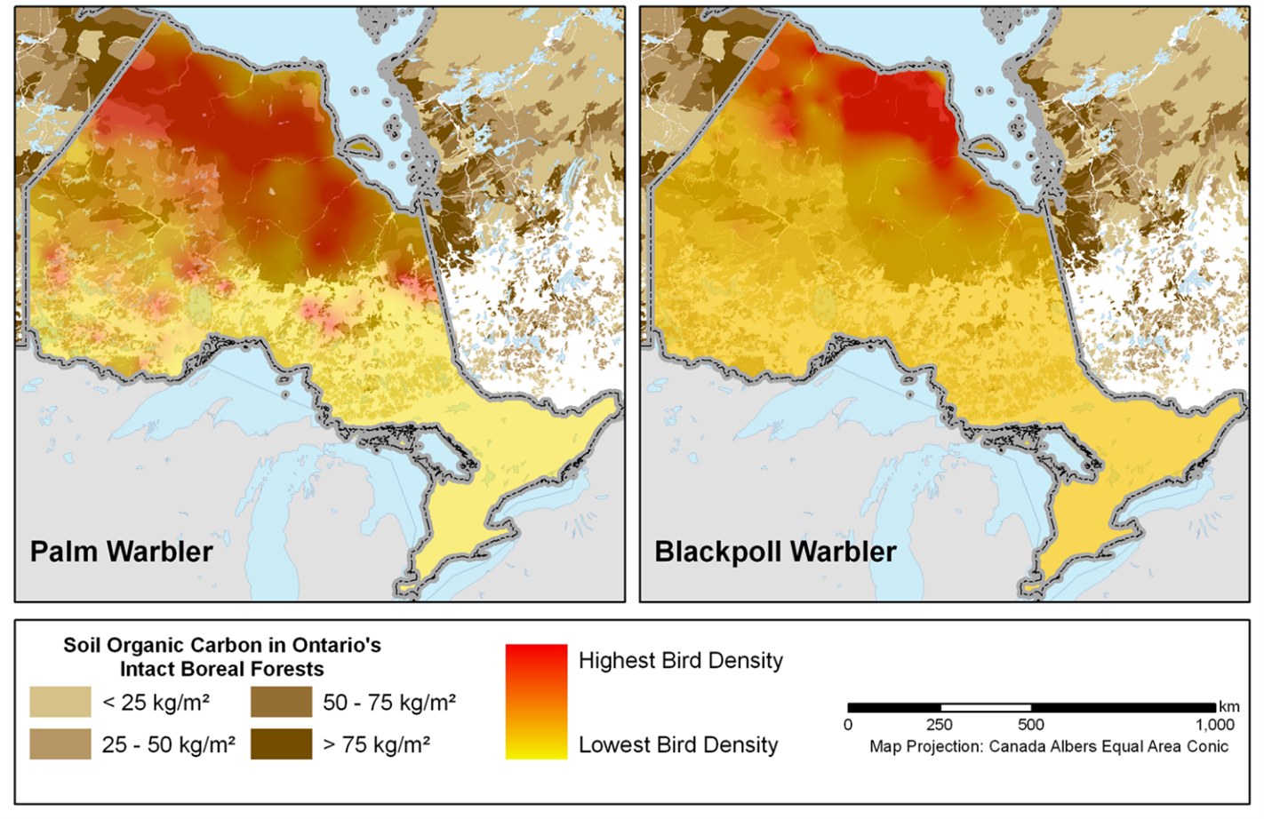 Paruline à couronne rousse / Carbone organique dans les sols des forêts boréales intactes de l’Ontario Paruline à couronne rousse / Carbone organique dans les sols des forêts boréales intactes de l’Ontario