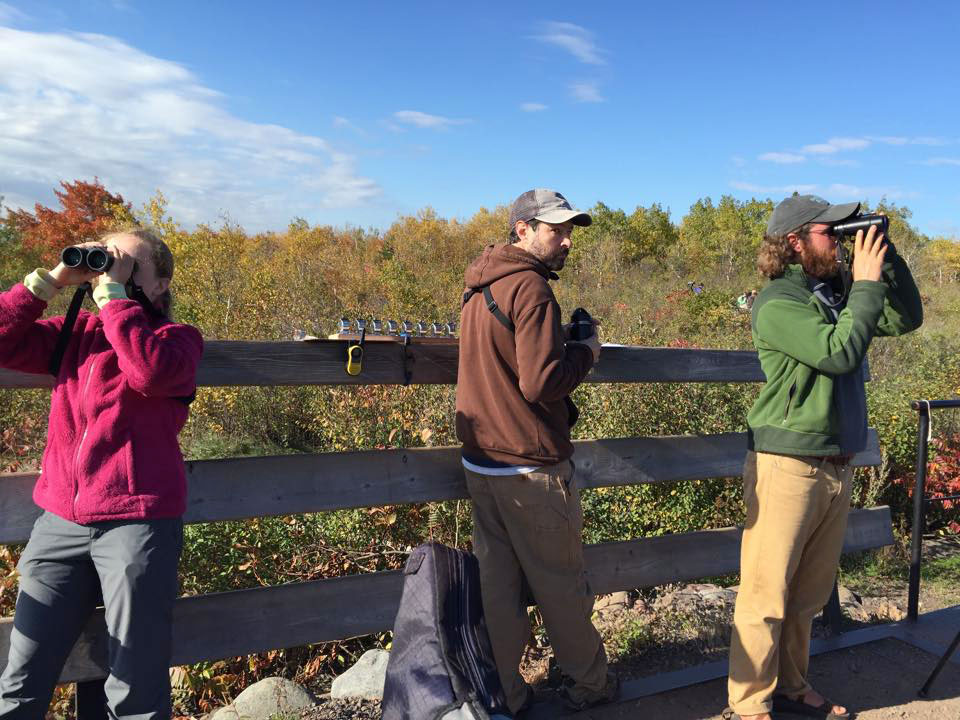 Kaija Gahm, Reed Turner, and Alex Lamoreaux, an employee at Hawk Ridge Bird Observatory, count migrating species during a hawk watch. Karen Stubenvoll/Hawk Ridge Bird Observatory